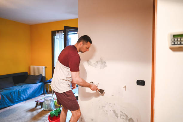 Best Mold Removal Process  in Piermont, NY